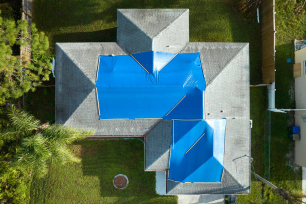 Best Commercial Roofing Services  in Navasota, TX