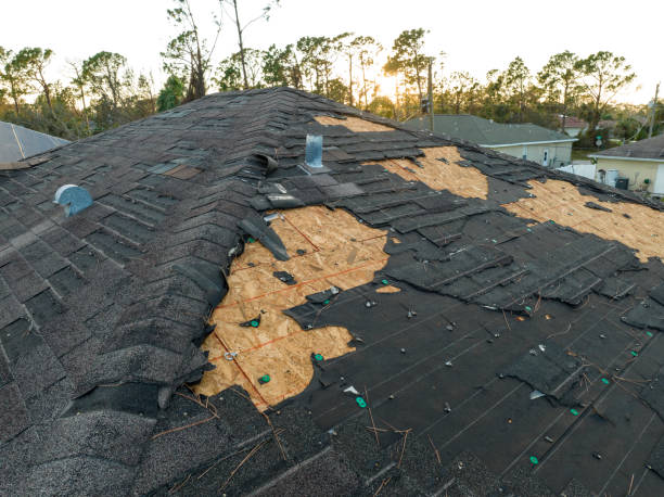 Best Asphalt Shingle Roofing  in Navasota, TX