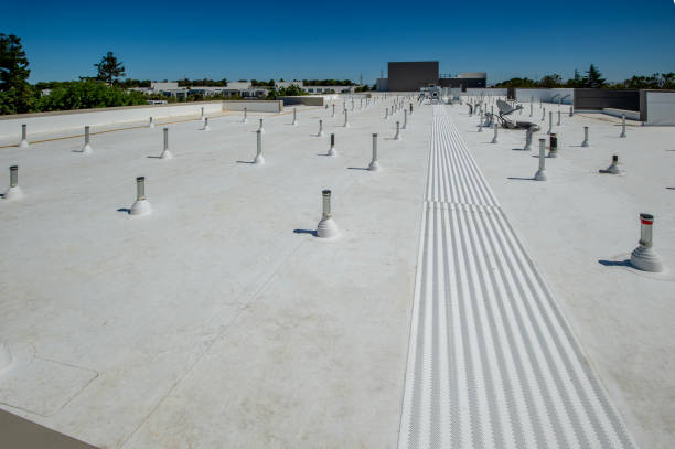 Best Roof Moss and Algae Removal  in Navasota, TX